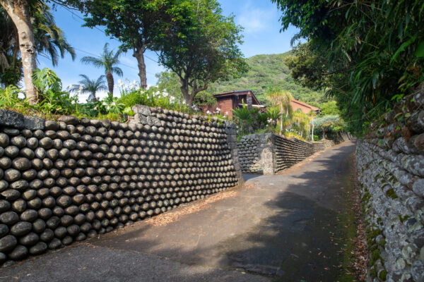 Winding tropical path, unique stone wall, lush foliage.