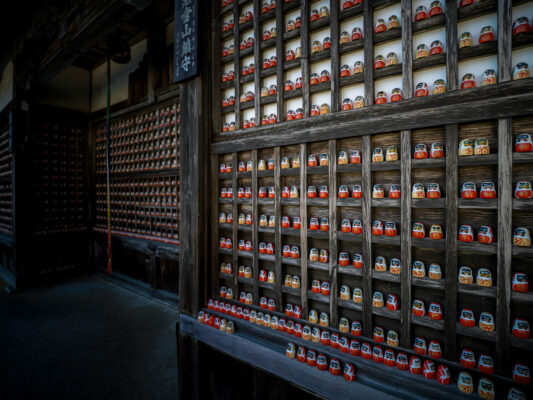 Preserved Food Storage Warehouse Shelves