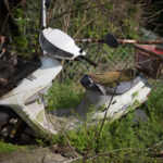 Forgotten motorbike reclaimed by nature