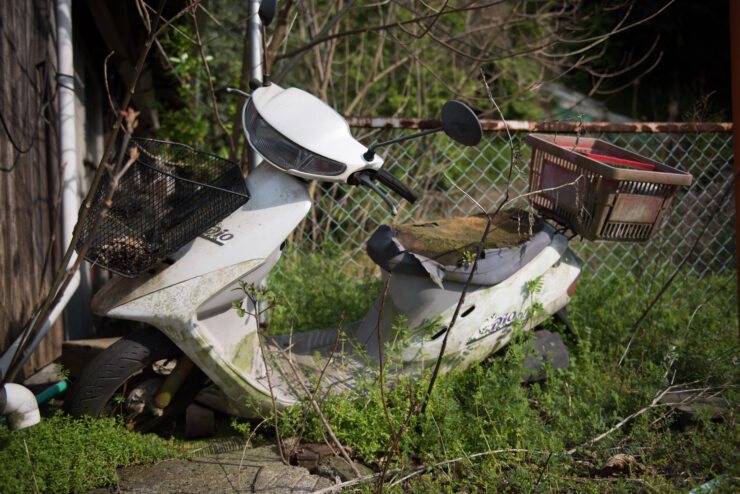 Forgotten motorbike reclaimed by nature