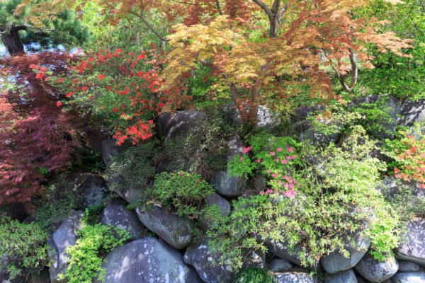 Tranquil Japanese Garden Oasis with Stream