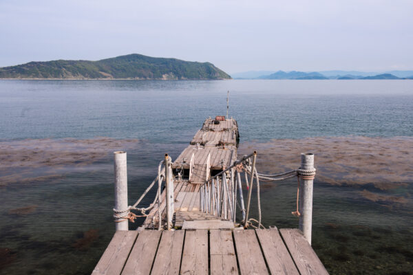 Scenic Wooden Dock on Tranquil Mountain Lake, Japan