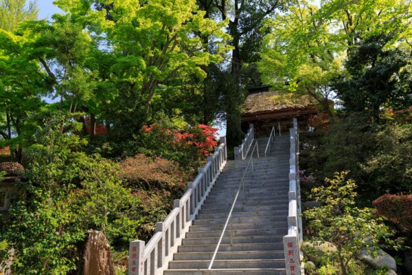 Tranquil forest stairs to Daruma Temple, Japan