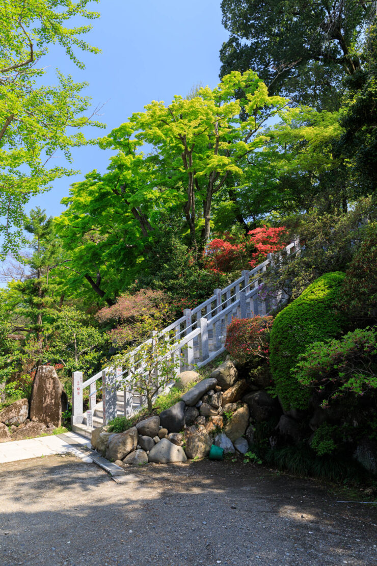 Tranquil Japanese Garden Path, Shorinzan Daruma-ji Temple