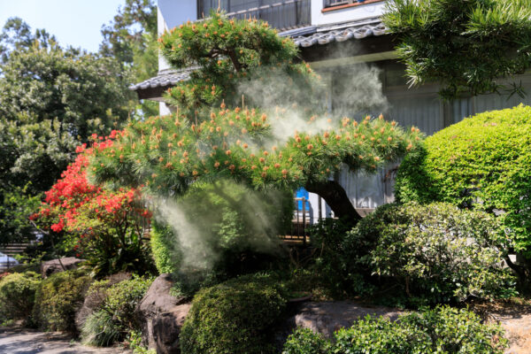 Serene Japanese Zen garden at historic temple