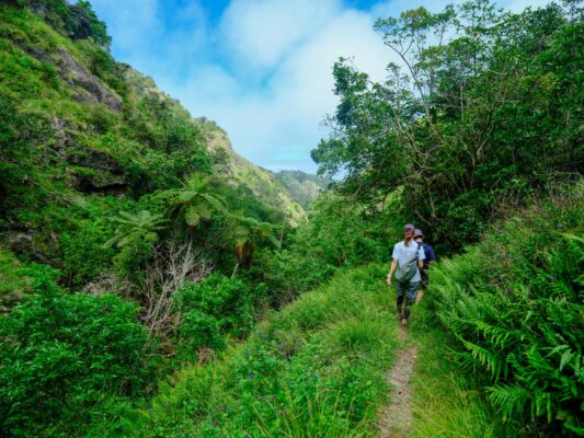 Tropical hiking trail with heart-shaped rock formation