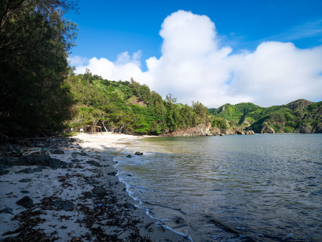 Scenic Beach Cove with Rocks, Forest Hills