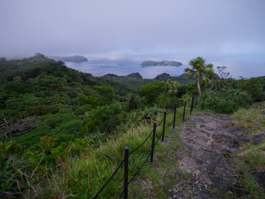 Lush tropical trail to secluded island paradise.