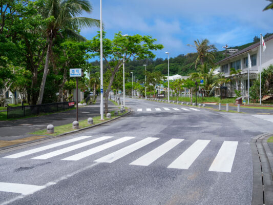 Lush tropical street scene