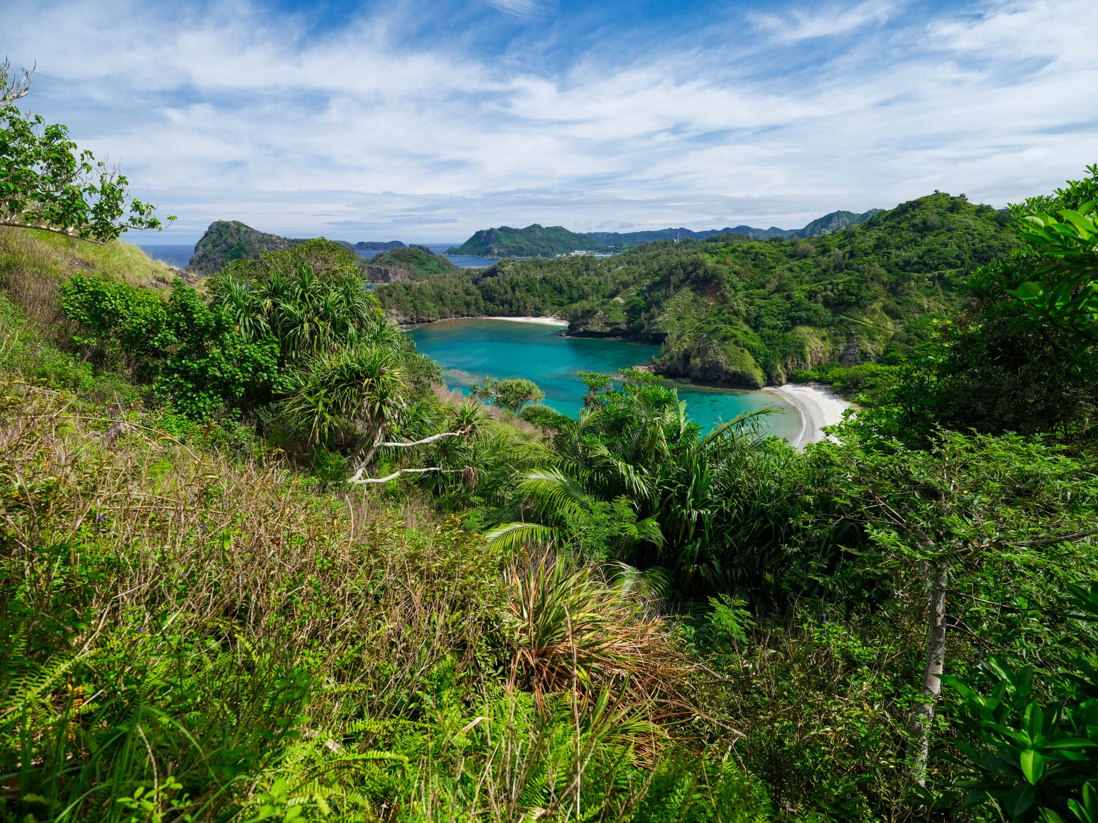 Lush tropical coastal paradise view