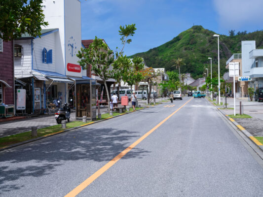 Colorful Town Street Charm Architecture Scenery