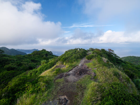 Scenic Winding Mountain Trail Landscape