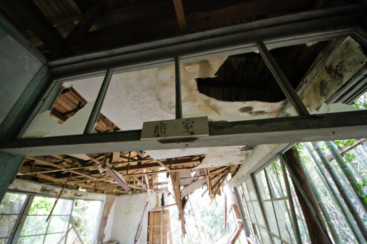 Dilapidated forest isolation ward interior ruin