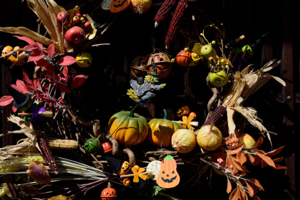 Autumn harvest decor with pumpkins, gourds, corn.