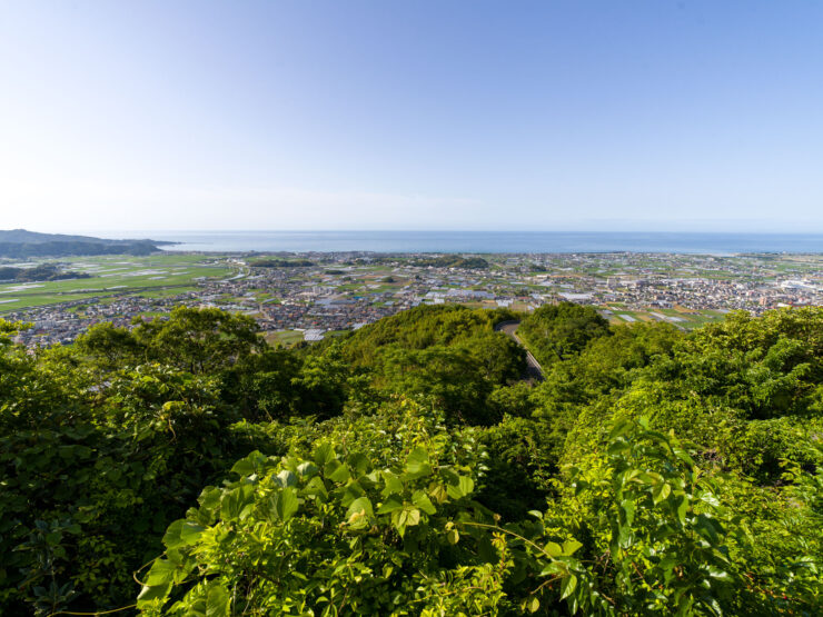 Lush coastal town panorama, urban greenery meets azure waters.