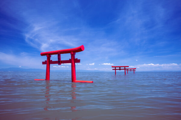 Submerged Red Torii Gates at Ouo Shrine, Japan