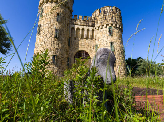 Abandoned Medieval Castle Amidst Lush Nature