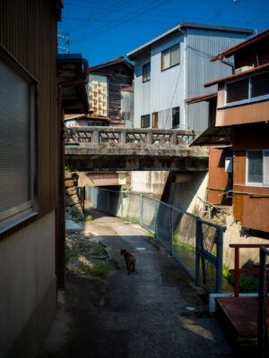 Narrow Urban Alleyway with Overhead Walkway Connecting Buildings