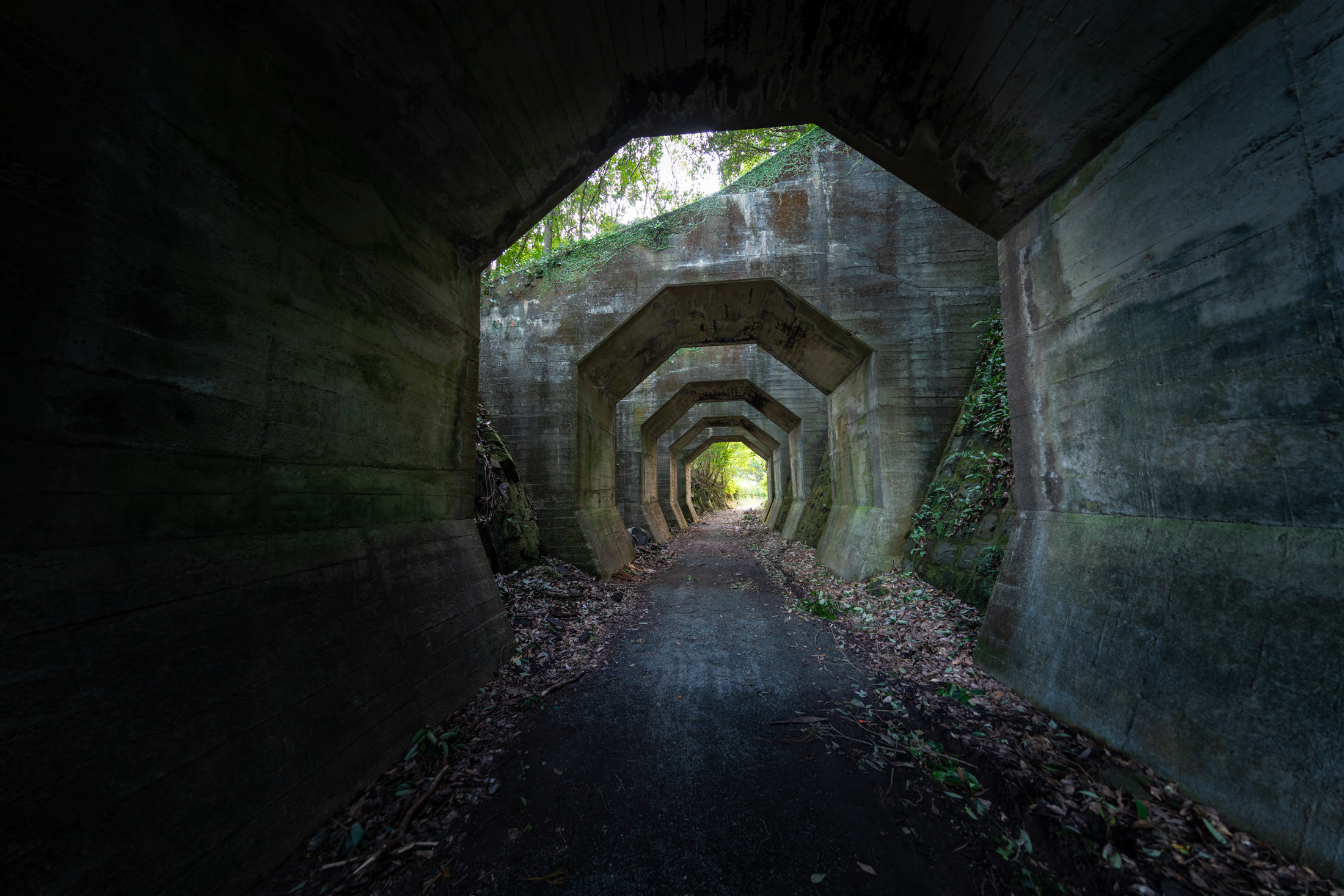 Octagon Tunnel