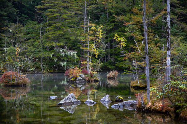 Tranquil Autumn Lake Reflection, Colorful Forest