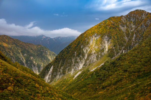 Colorful autumn cliffs in majestic mountain wilderness.