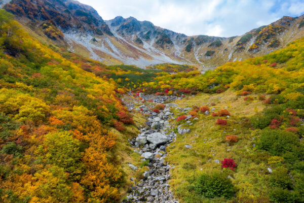 Autumn mountain stream Colorado landscape photography