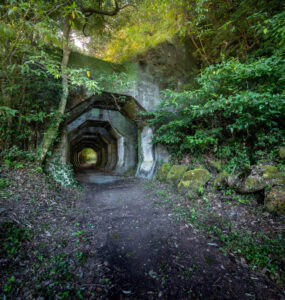 Verdant forest railway tunnel path allure