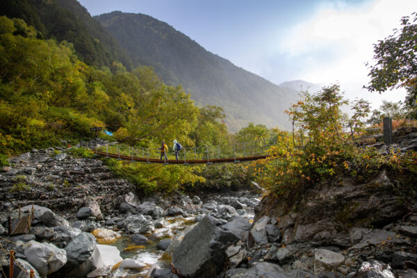 Rustic Mountain Bridge Over Rushing Forest Stream