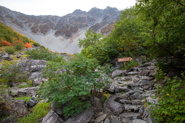 Scenic hiking trail through lush forest near towering peaks.