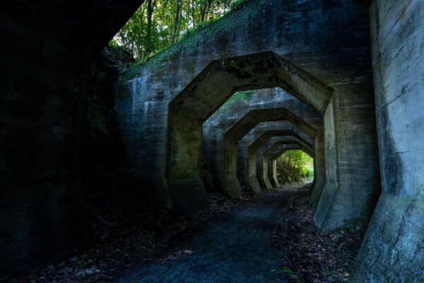 Eerie octagonal concrete tunnel amid nature