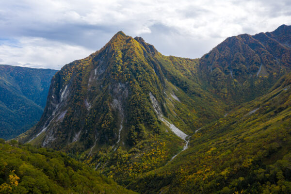 Towering Rugged Mountain Peaks, Lush Wilderness Landscape