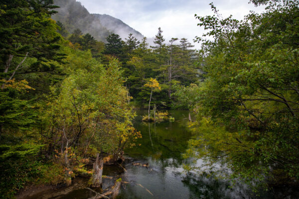 Tranquil Autumn Forest Lake Reflections