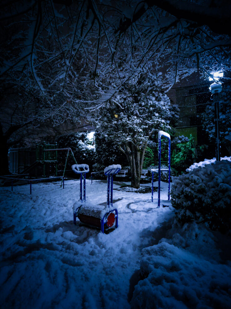 Illuminated snowy Tokyo park night scenery.