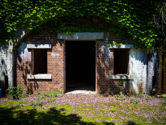 Abandoned overgrown brick structure, natures reclamation.