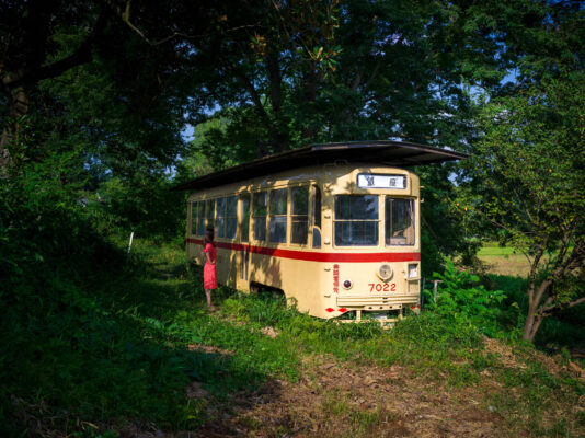 Vintage trolley reclaimed by natures overgrowth