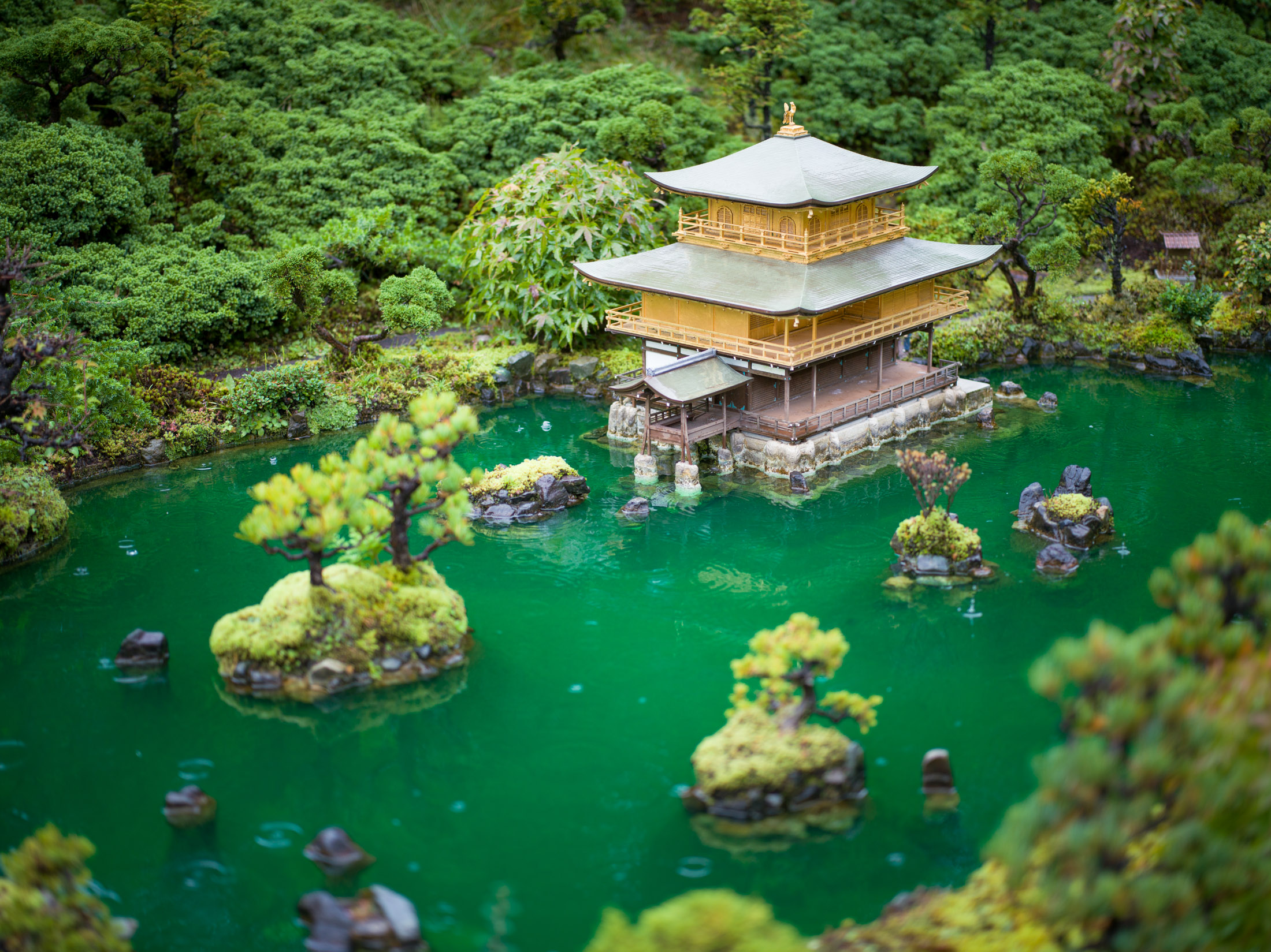 Serene Golden Pavilion Reflecting in Japanese Garden Pond