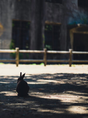 Peaceful Rabbit in Garden Oasis