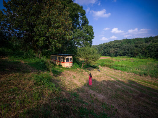 Serene forest trail with vintage trolley