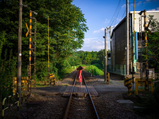 Rural railroad through lush woodland scenery