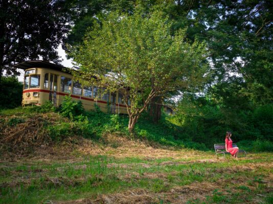 Rustic cabin escape, serene nature haven