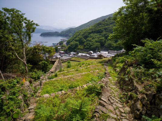 Misty Coastal Village Nestled in Lush Greenery