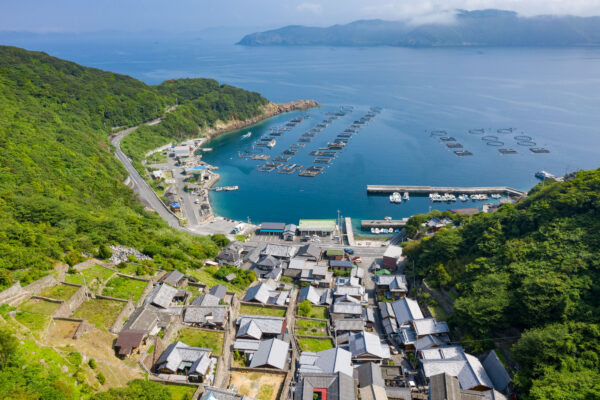 Scenic Coastal Village Nestled in Lush Landscape