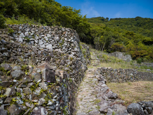 Rustic winding stone path, lush green landscape