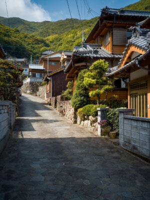 Tranquil Japanese Mountain Village Sanctuary