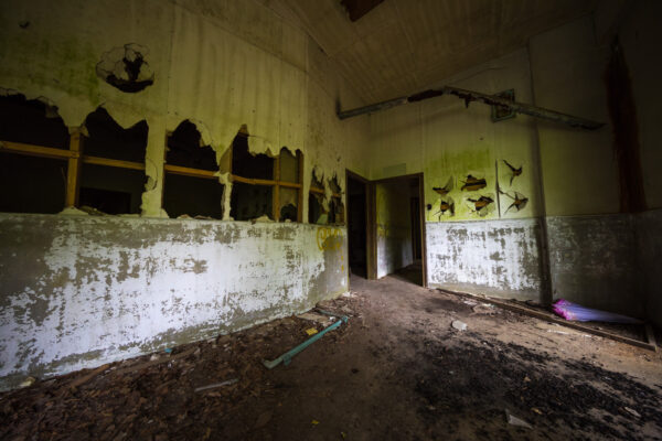 Haunting Ropeway Ruin Echoes Eerie Journeys