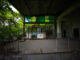 Dilapidated ropeway station overtaken by flourishing forest.