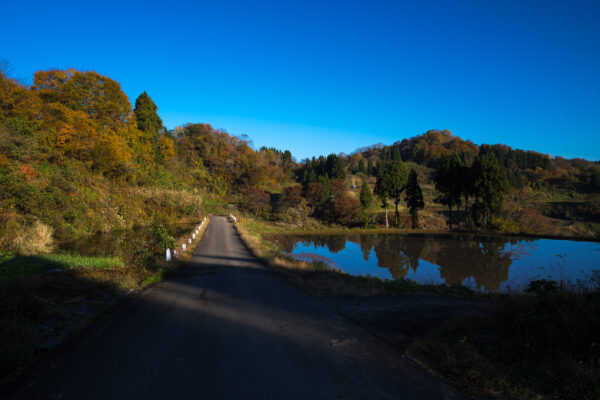 Vibrant autumn foliage reflects on tranquil pond by winding road.