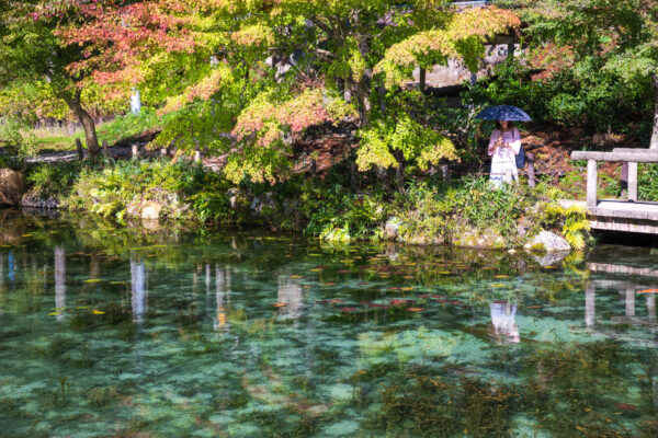 Serene Japanese garden autumn pond reflection