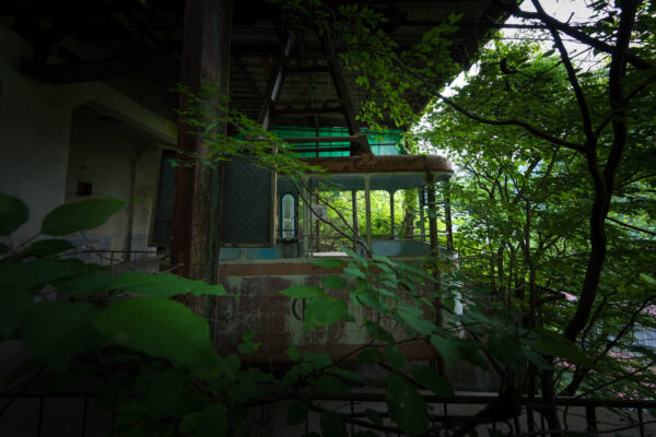 Abandoned forest ropeway cabin, natures lush embrace.