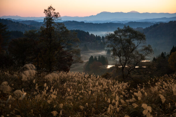 Stunning golden sunset over misty Japanese rice terraces.